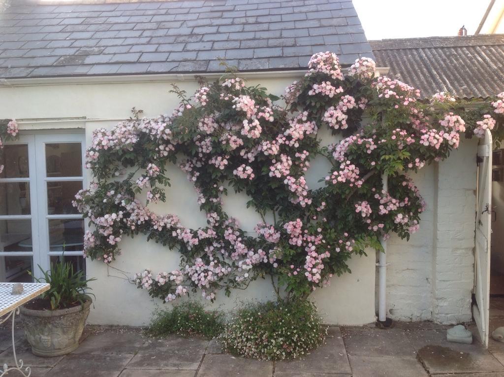 Newton Cottage Porthcawl Exterior photo